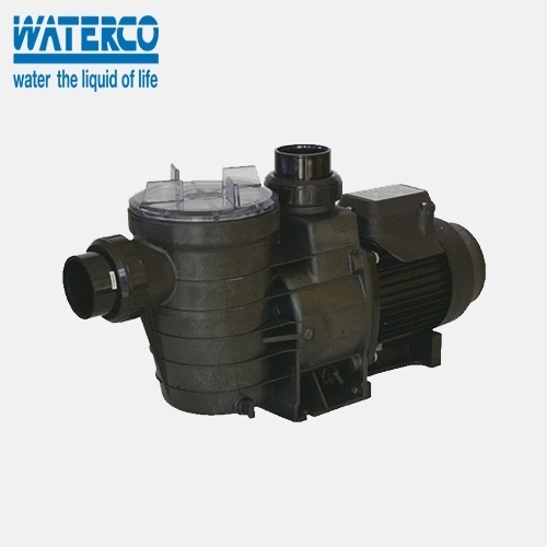 Máy bơm hồ bơi Supatuf 150 1.5HP